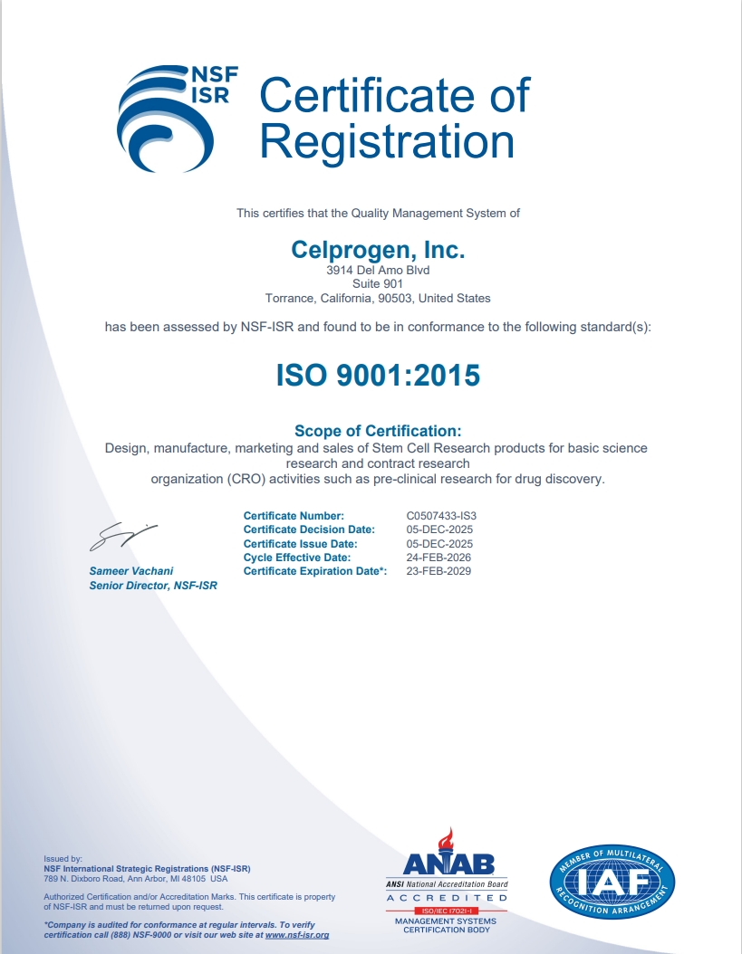 ISO9001cert2026-2029.jpeg